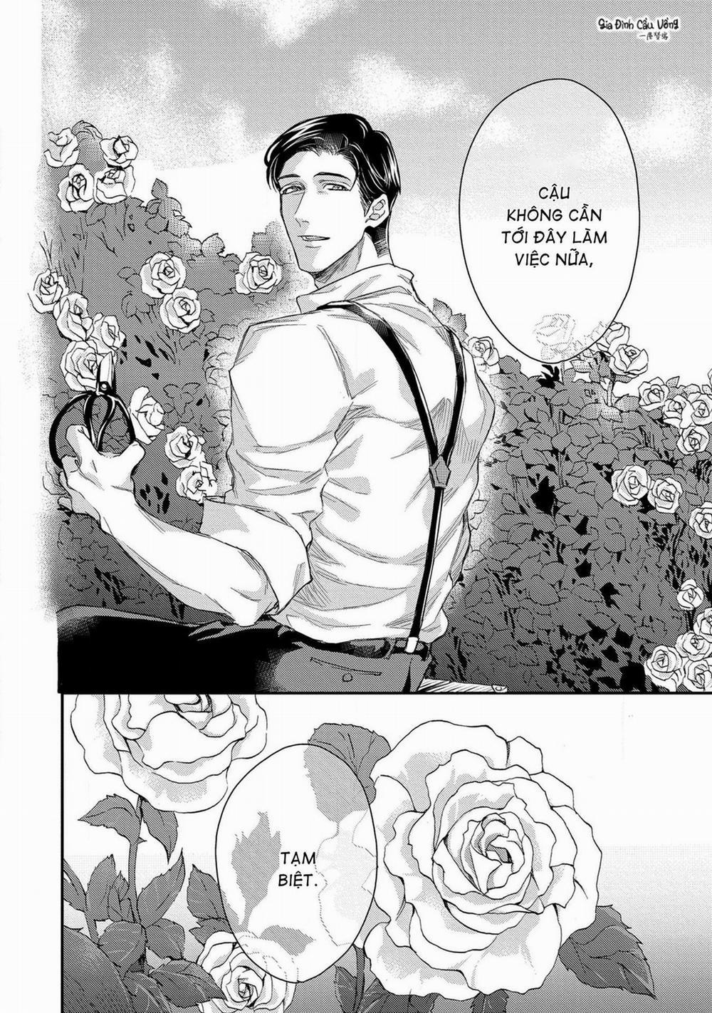 Alpha trở thành Enigma: Loại giới tính thứ 4 4 trang 11