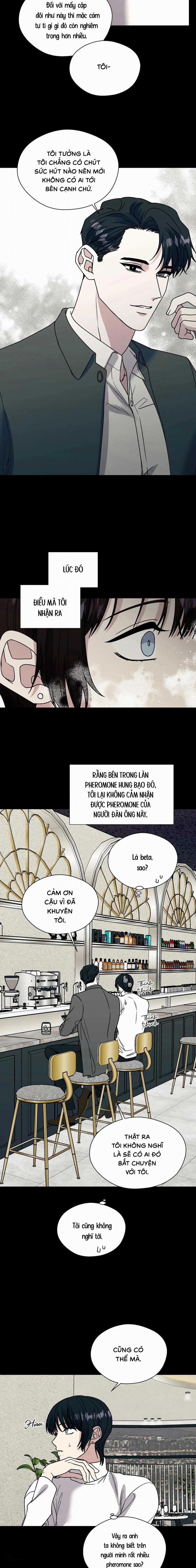 Ám Ảnh Pheromone 72 trang 1