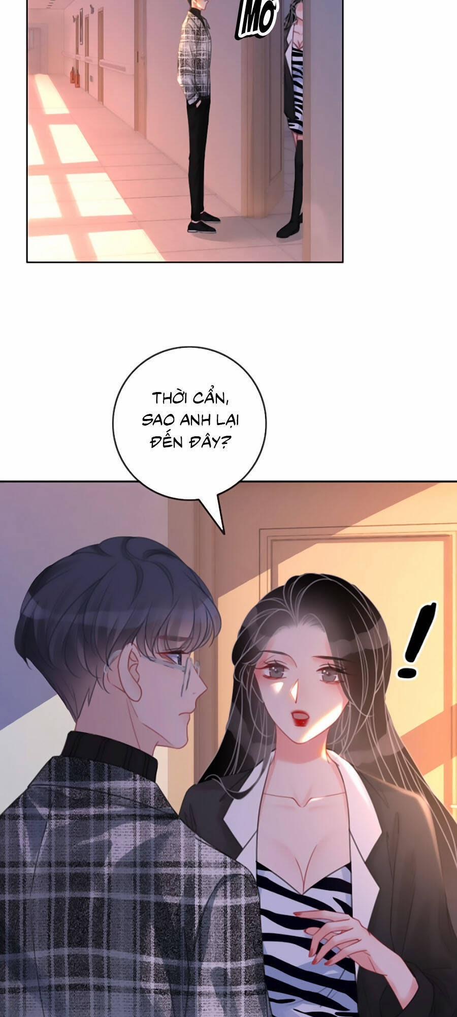 Ám Hắc Hệ Noãn Hôn 135 trang 11