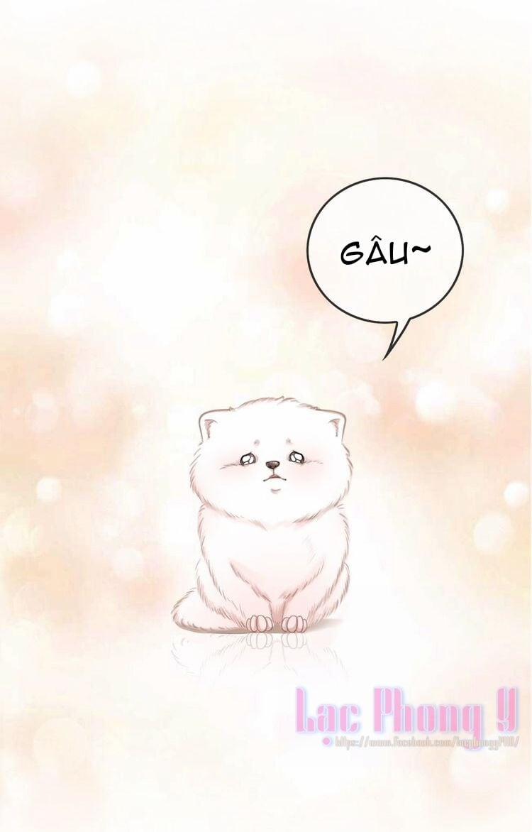 Ám Hắc Hệ Noãn Hôn 3 trang 23