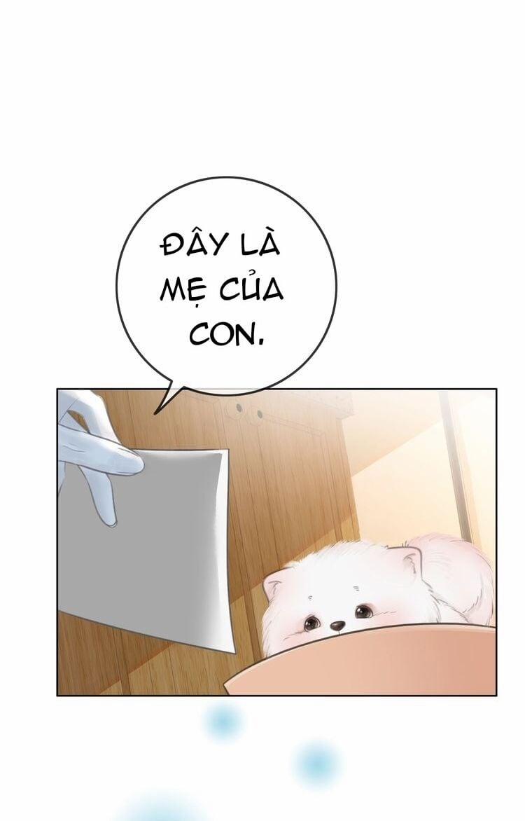 Ám Hắc Hệ Noãn Hôn 3 trang 32