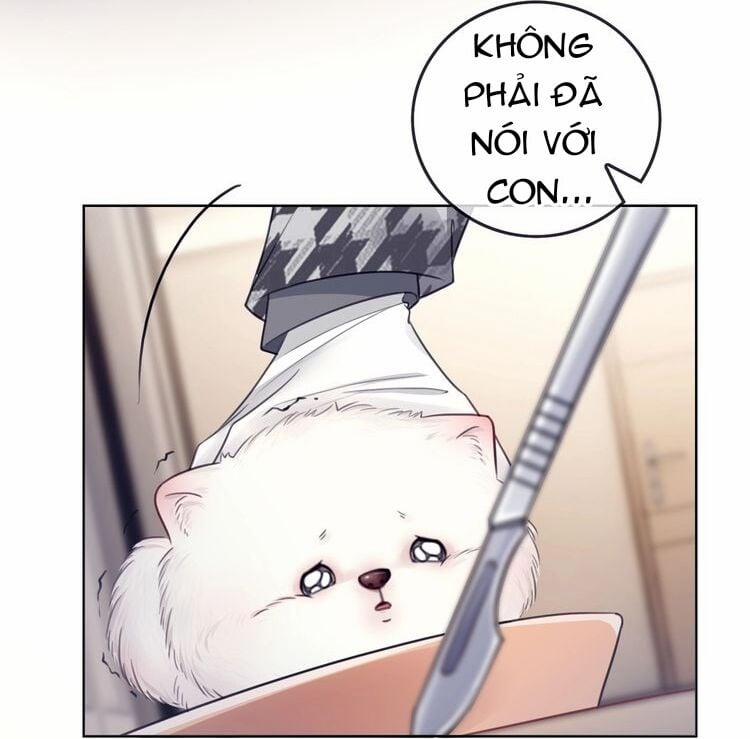 Ám Hắc Hệ Noãn Hôn 3 trang 39