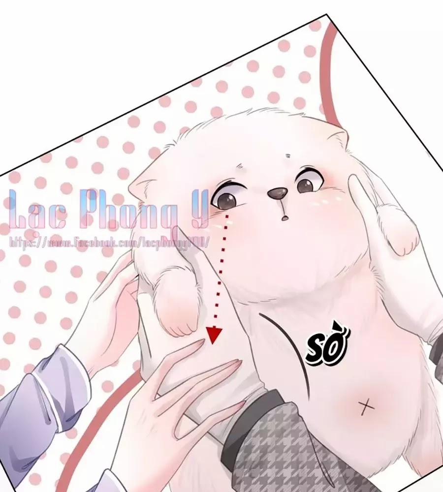 Ám Hắc Hệ Noãn Hôn 4 trang 12