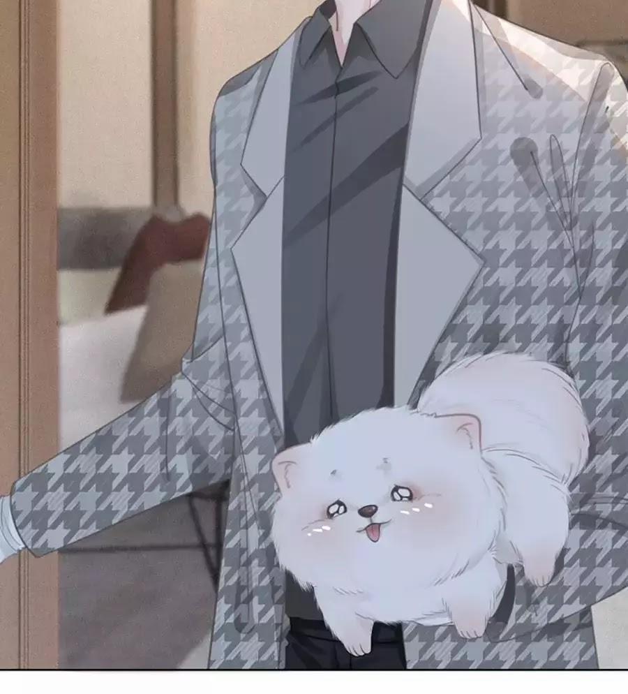 Ám Hắc Hệ Noãn Hôn 4 trang 15