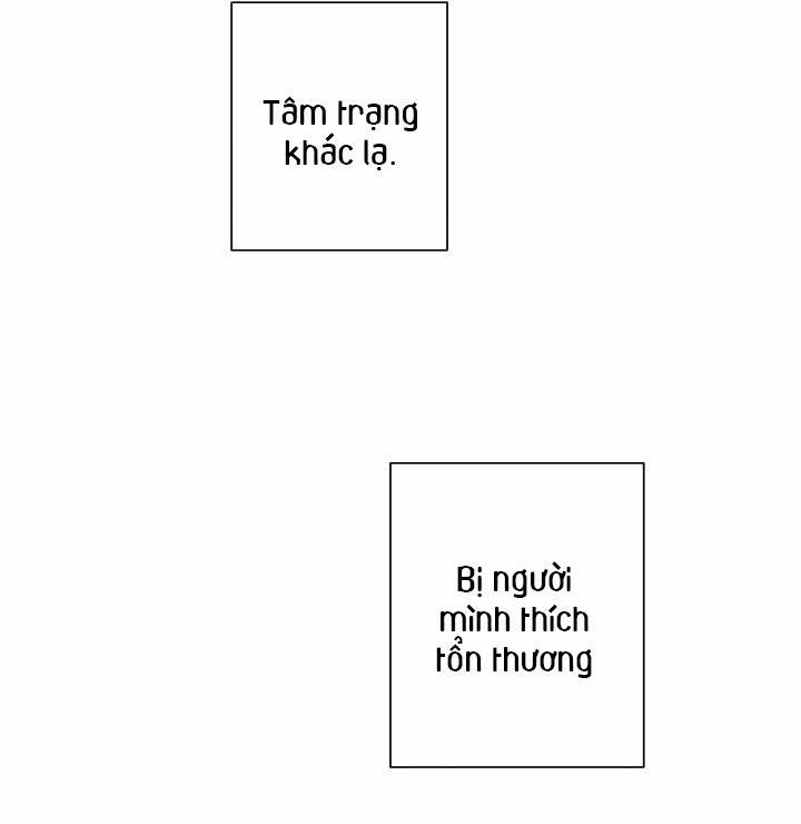 Âm Thanh Của San Hô 19 trang 25