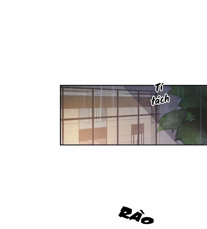 Âm Thanh Của San Hô 19 trang 4