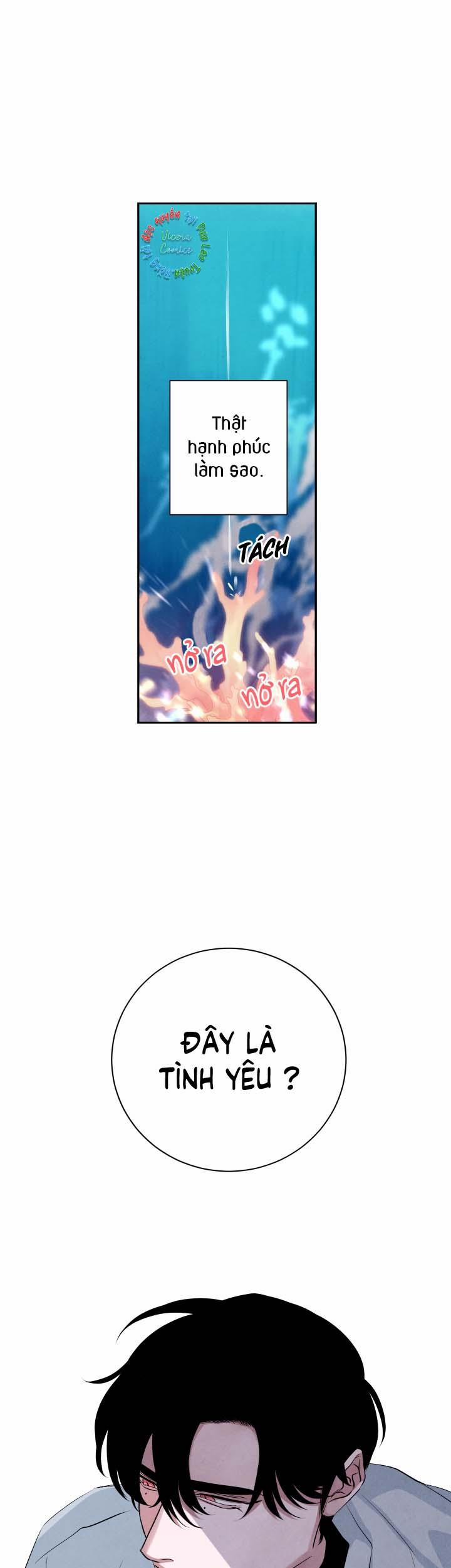 Âm Thanh Của San Hô 22 trang 24
