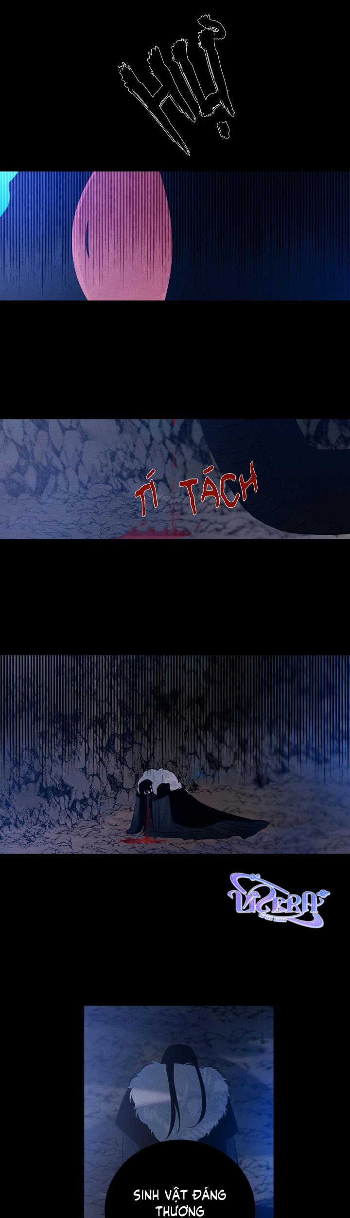 Âm Thanh Của San Hô 30 trang 13