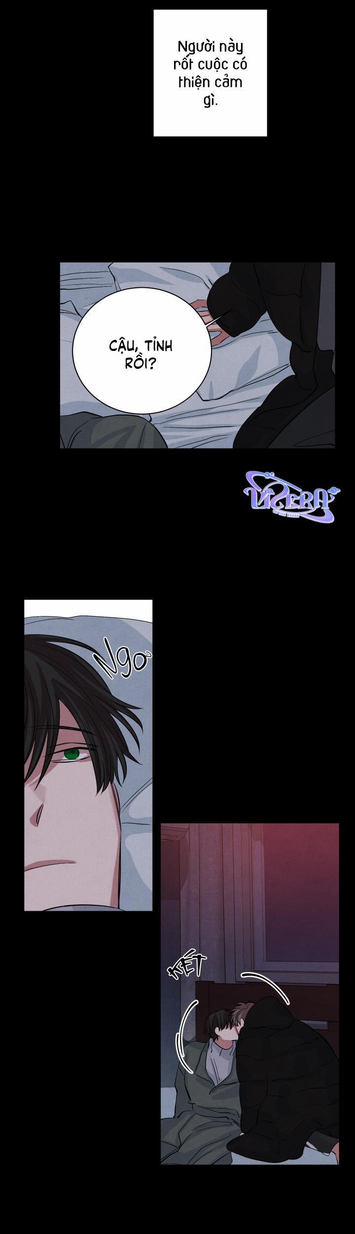 Âm Thanh Của San Hô 33 trang 16