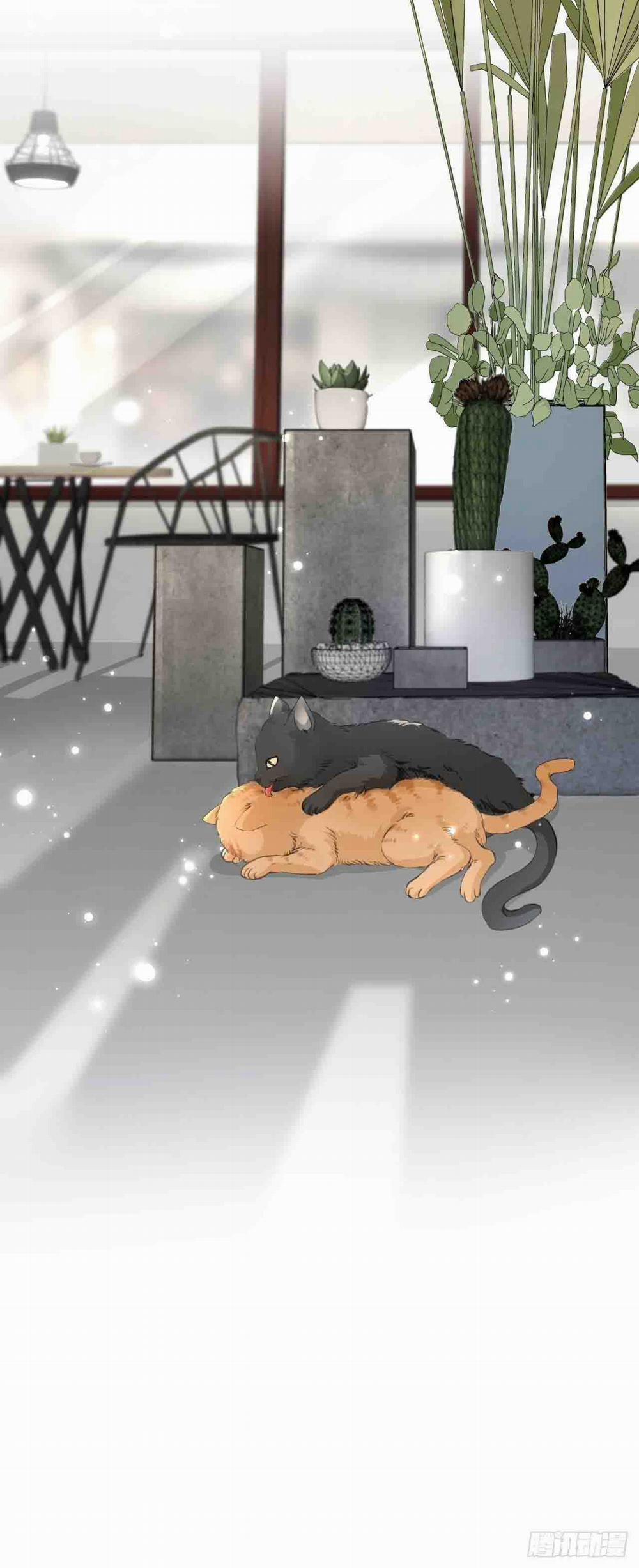 Âm Thanh Rung Động 16 trang 33