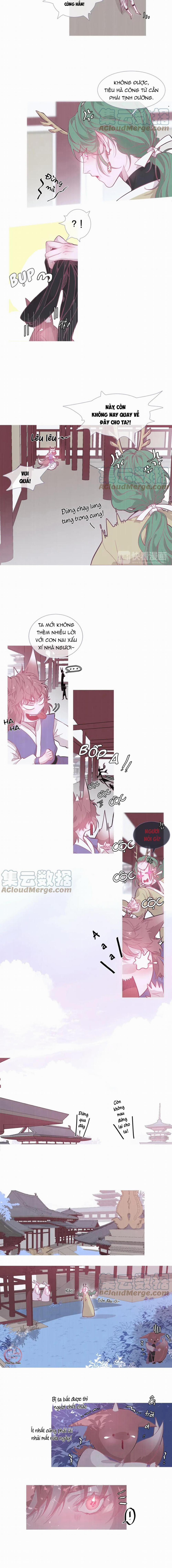 Ẩm Yêu Chỉ Khát 13 trang 1