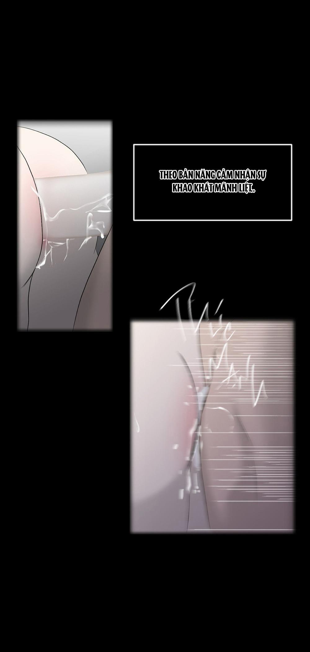 ẨN GIẤU 4 trang 56