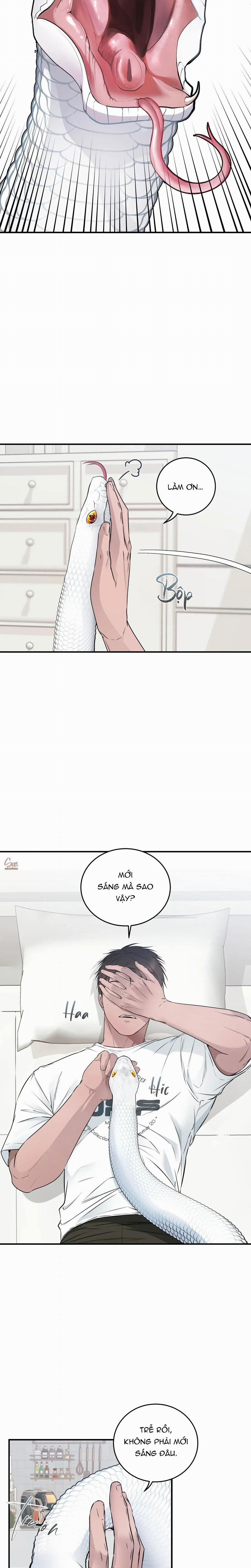 ÂN NHÂN CỦA RẮN 10 trang 14