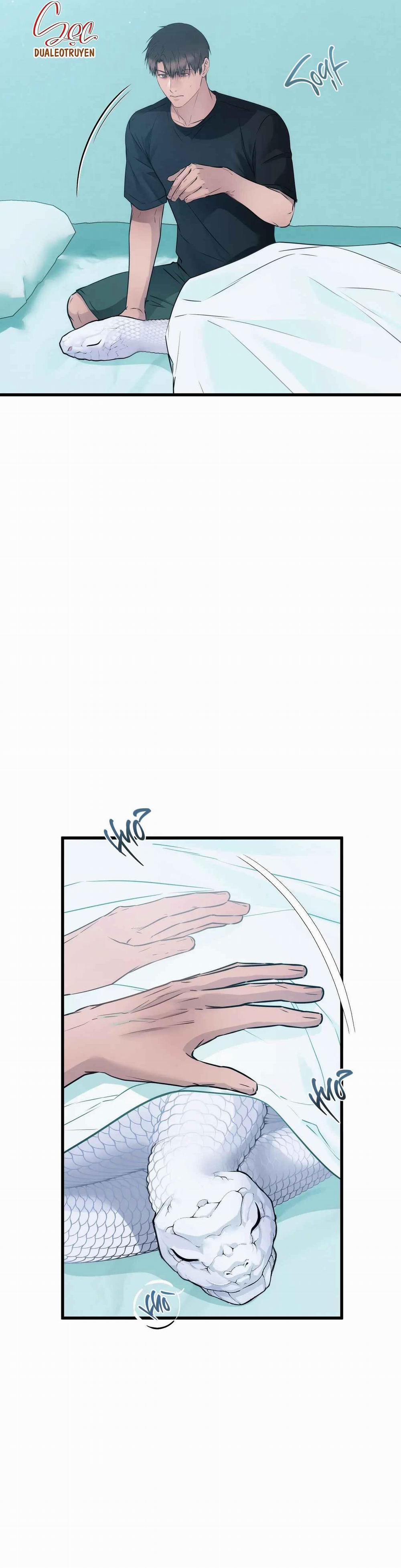 ÂN NHÂN CỦA RẮN 17 trang 5