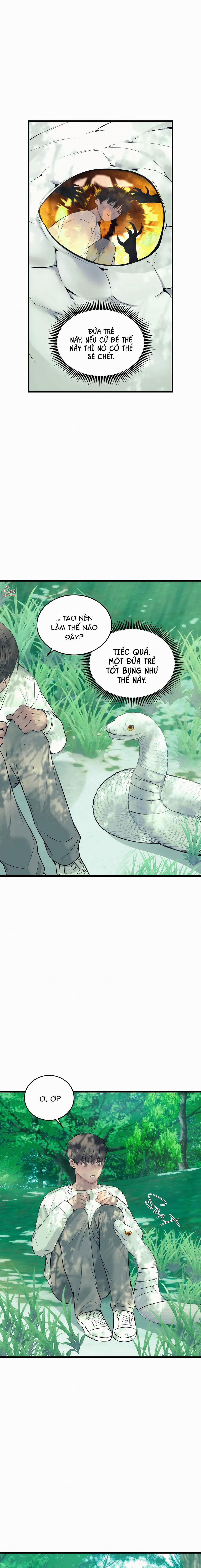 ÂN NHÂN CỦA RẮN 22 trang 10