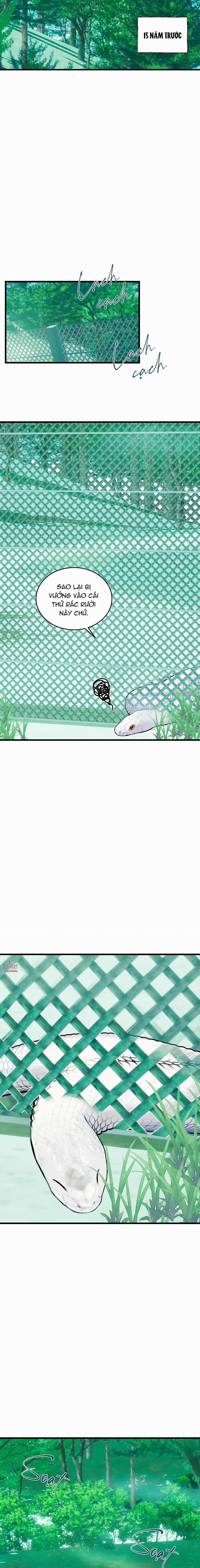 ÂN NHÂN CỦA RẮN 22 trang 3