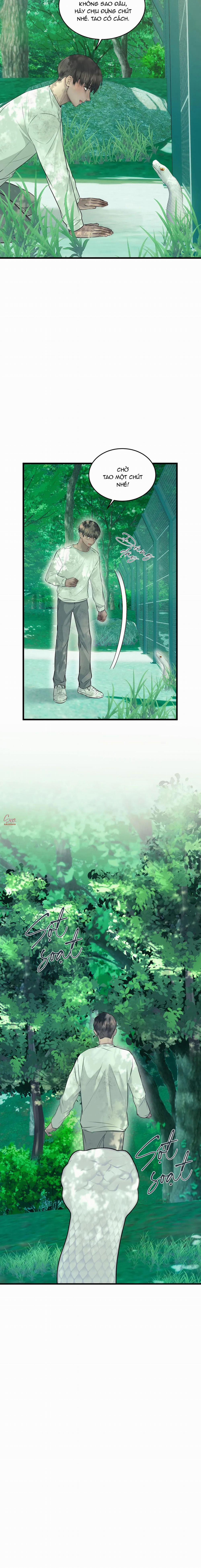 ÂN NHÂN CỦA RẮN 22 trang 7