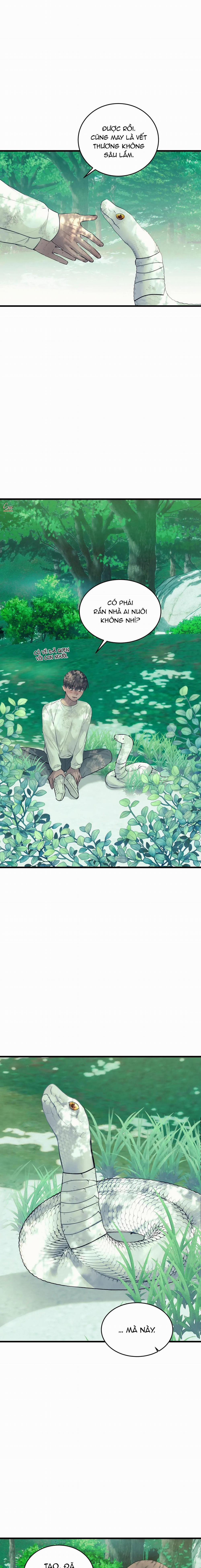 ÂN NHÂN CỦA RẮN 22 trang 8