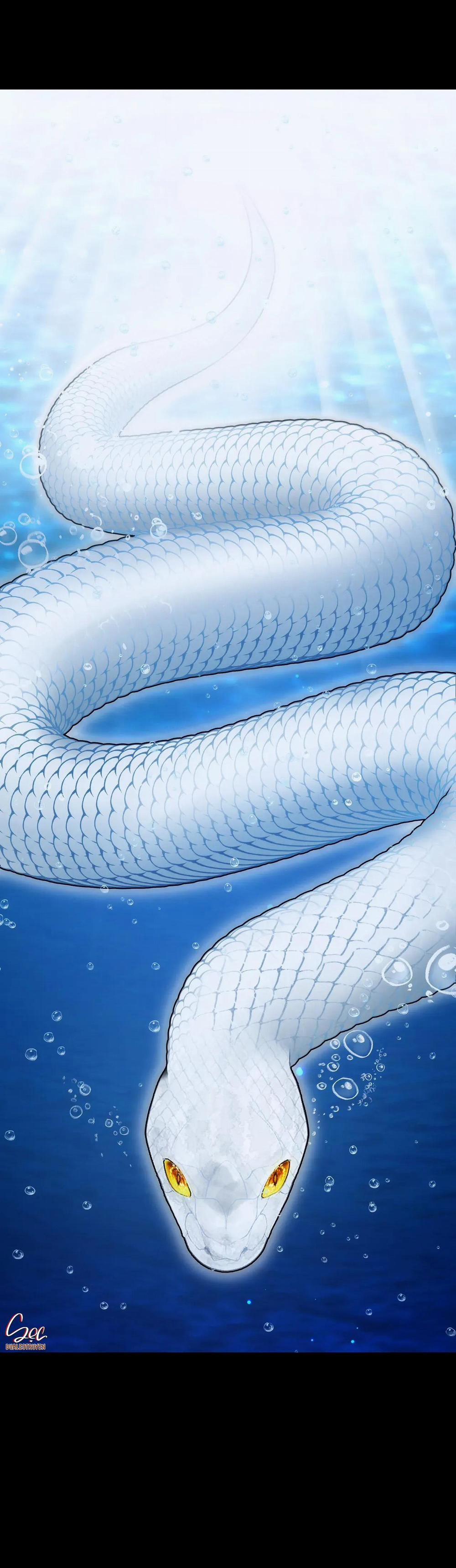 ÂN NHÂN CỦA RẮN 27 trang 4