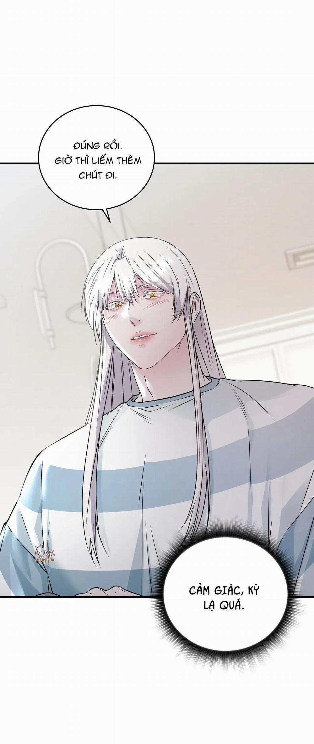 ÂN NHÂN CỦA RẮN 8 trang 24