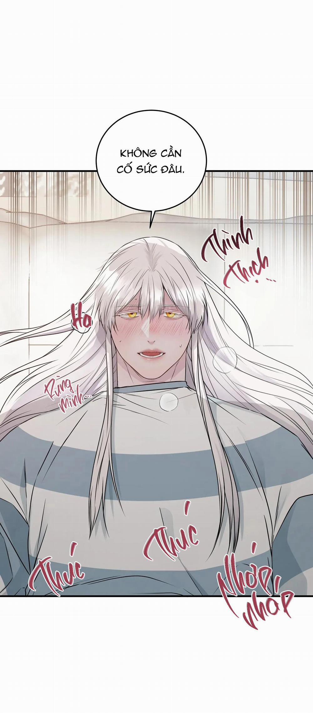 ÂN NHÂN CỦA RẮN 8 trang 46