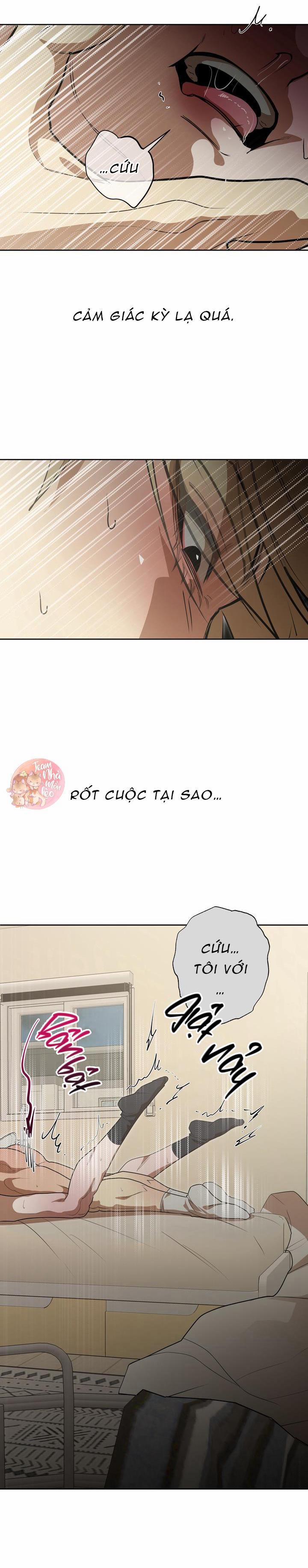 Ăn Sạch Bố Ngỗng Nhà Bên 7 trang 33