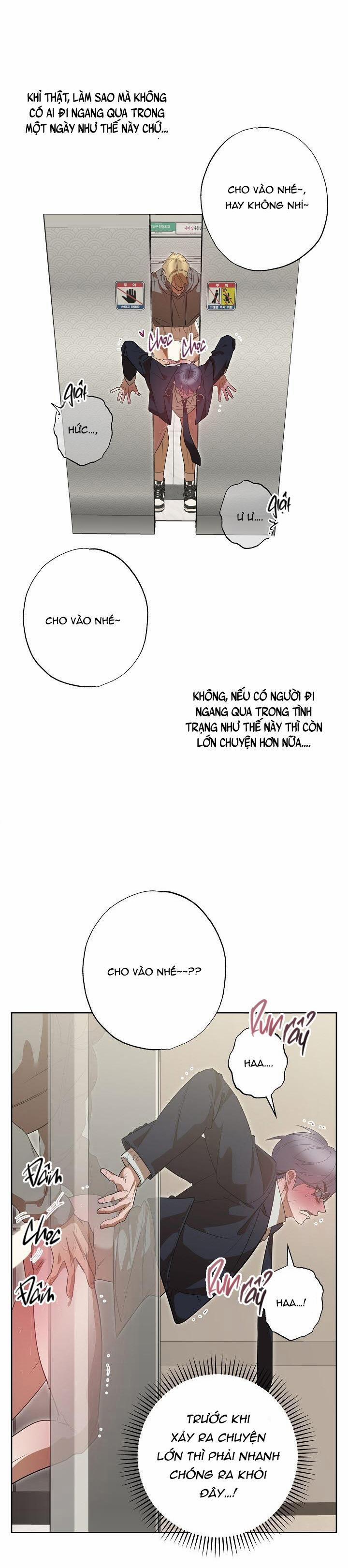 Ăn Sạch Bố Ngỗng Nhà Bên 8 trang 17