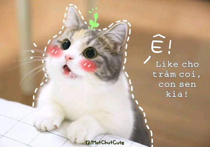 Ane to. Oneshot trang 18