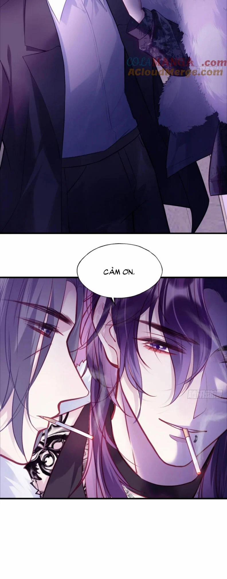 Anh Ấy Chưa Từng Rơi Xuống 105 trang 11