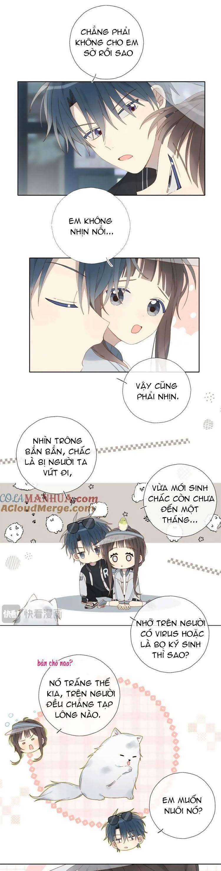 Anh Ấy Rất Hay Trêu Chọc Tôi 71 trang 17