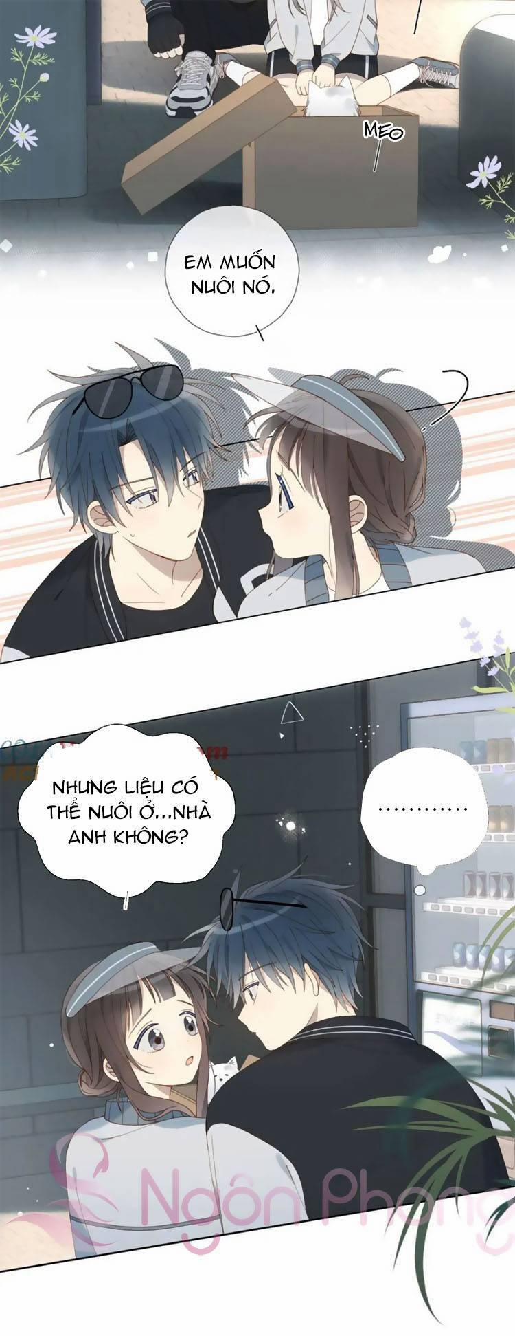 Anh Ấy Rất Hay Trêu Chọc Tôi 71 trang 19