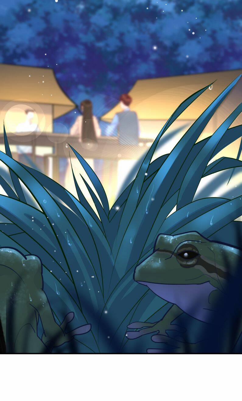 Anh Ấy Sinh Ra Đã Là Công Của Tôi 77 trang 8