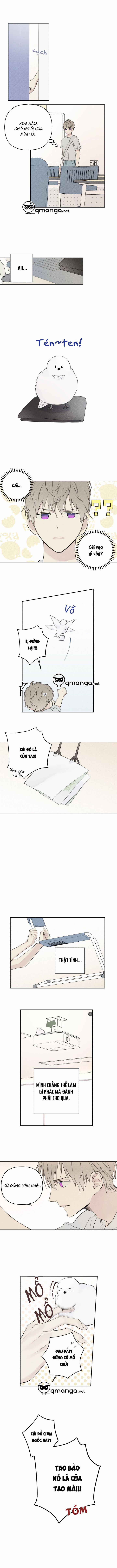 Anh Bạn Thiên Thần 2 trang 2