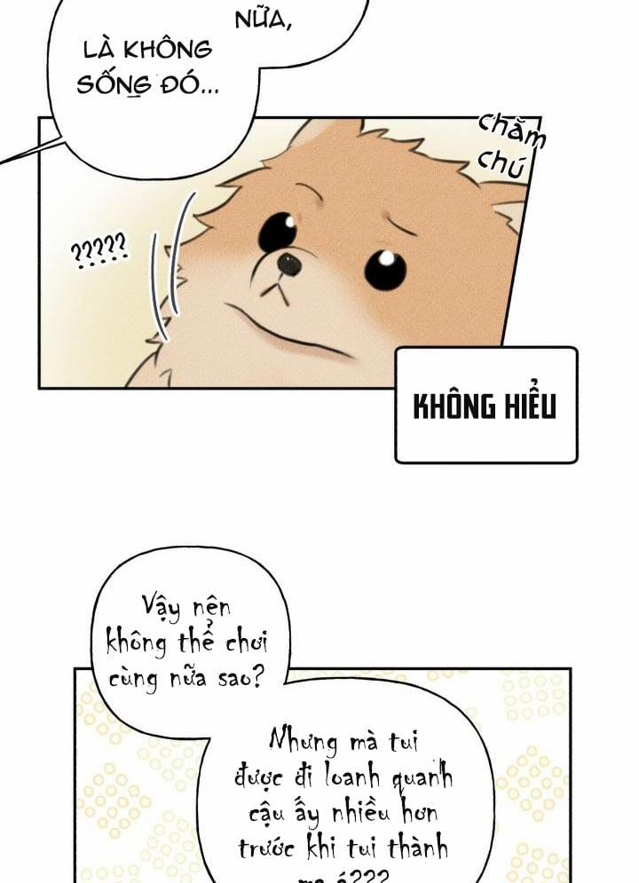 Anh Bạn Thiên Thần 65 trang 10