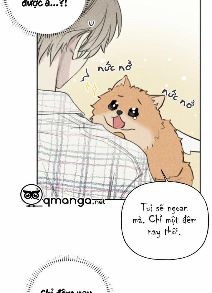 Anh Bạn Thiên Thần 65 trang 13