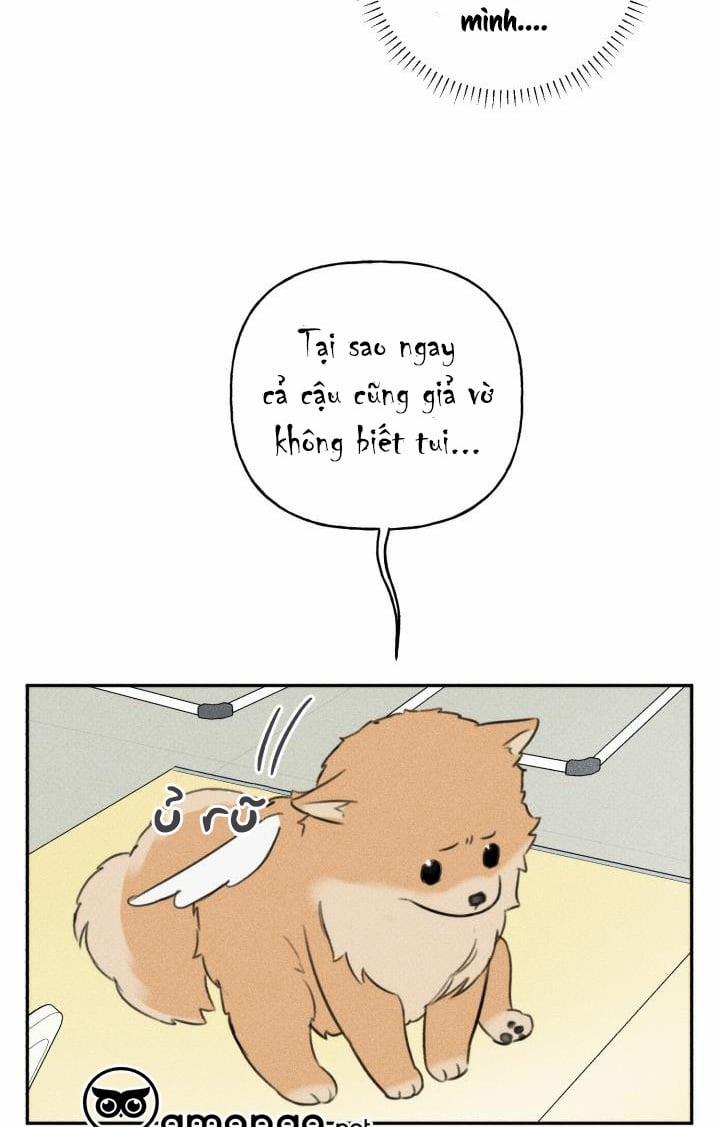 Anh Bạn Thiên Thần 67 trang 13