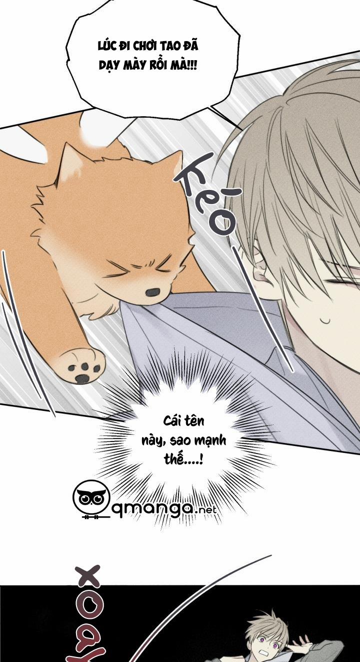 Anh Bạn Thiên Thần 68 trang 19