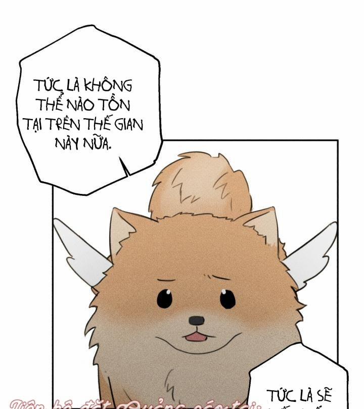 Anh Bạn Thiên Thần 68 trang 37