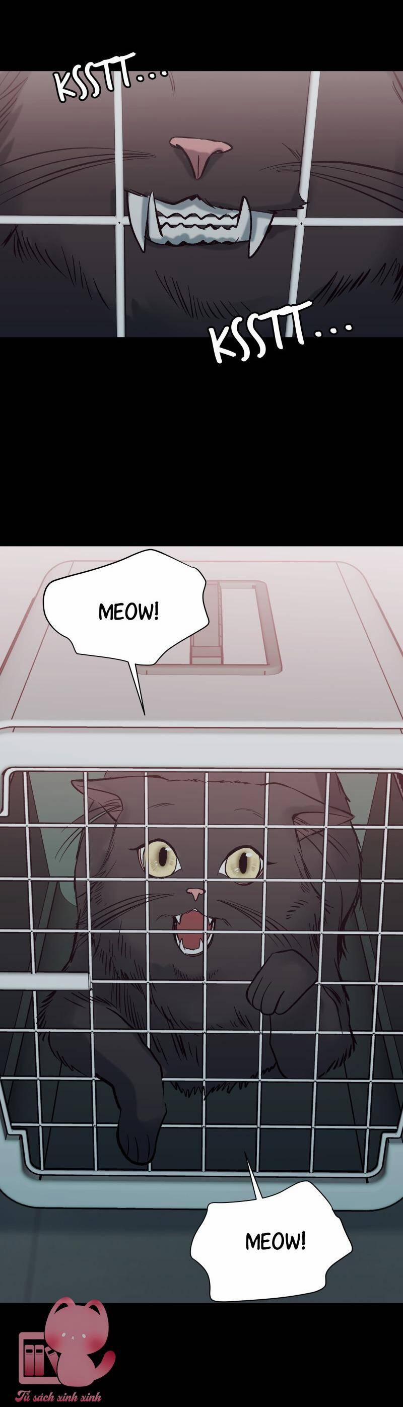 Anh Chàng Lầu Trên 40 trang 58