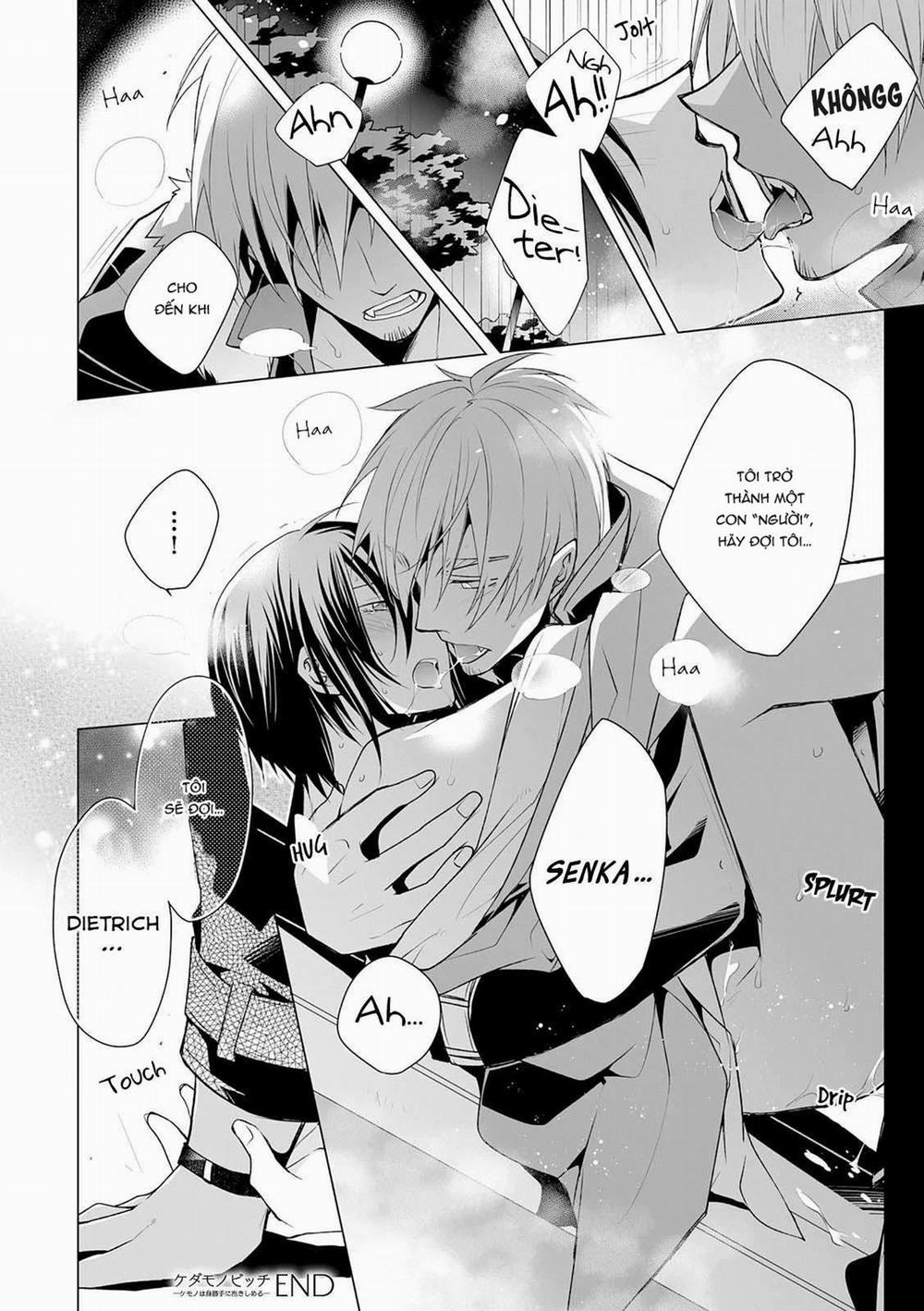 Anh Chàng Người Sói Và Tiểu Thuyết Gia Lập Dị 4.2 trang 12