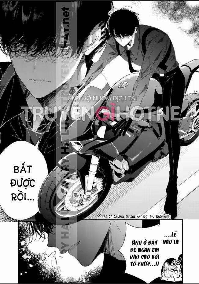Anh Chàng Sát Thủ Nguy Hiểm Lại Rất Ngọt Ngào 6 trang 11