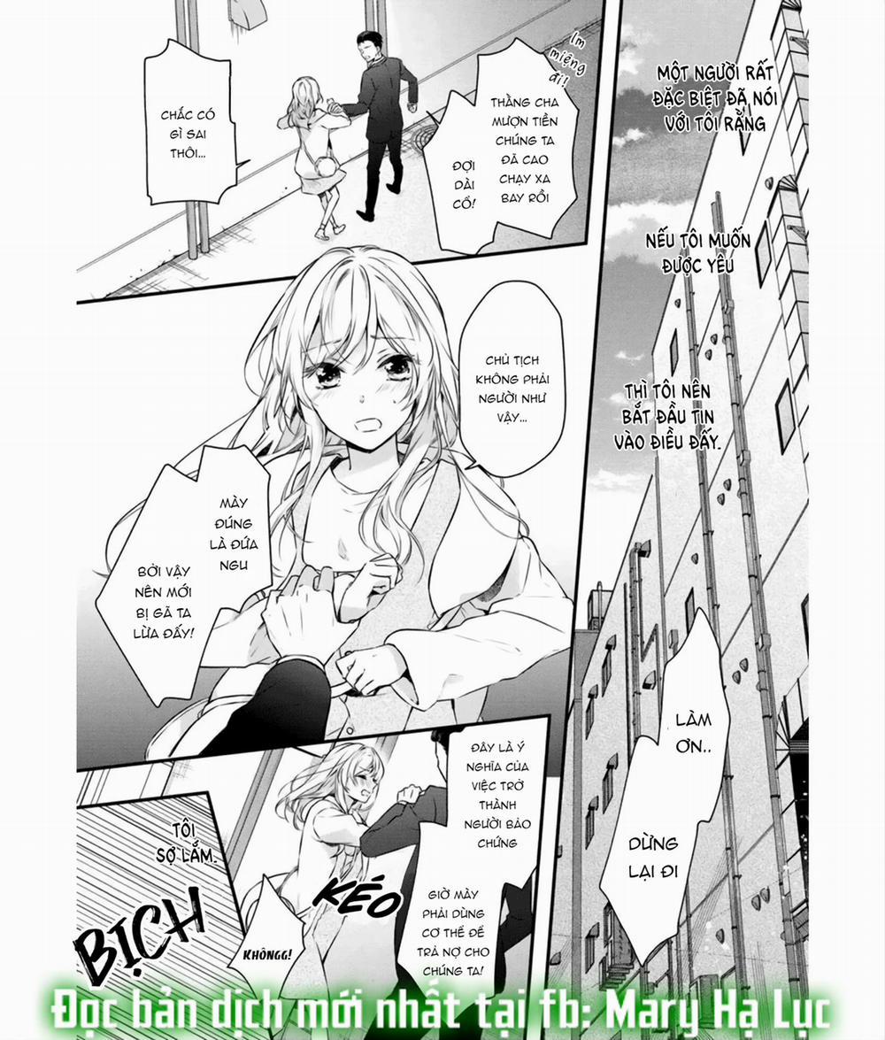 Anh Chàng Tsundere Và Cô Nàng Chippai-Chan: Chàng Yakuza Cưng Chiều Và Bao Nuôi Tôi 1.1 trang 1