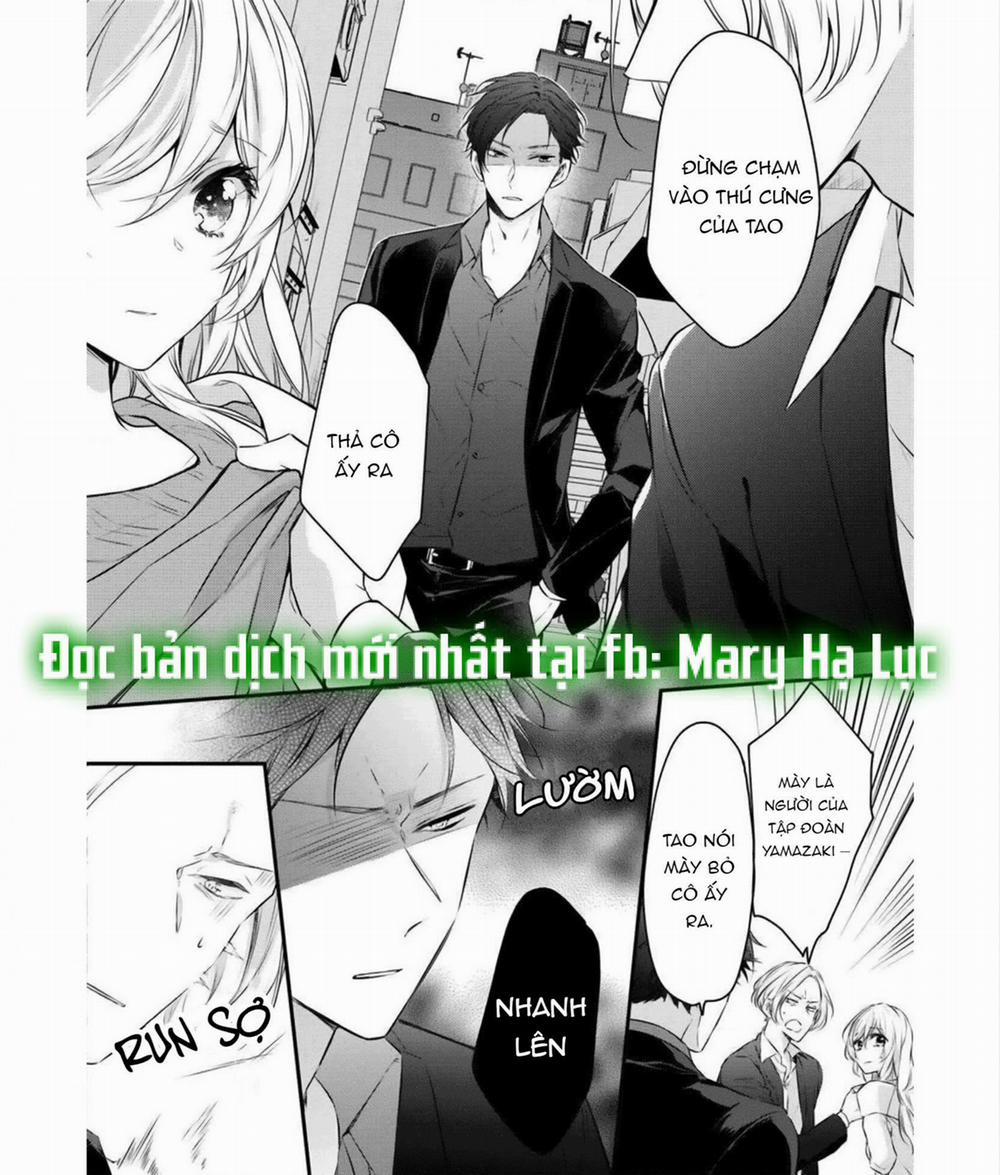 Anh Chàng Tsundere Và Cô Nàng Chippai-Chan: Chàng Yakuza Cưng Chiều Và Bao Nuôi Tôi 2.2 trang 8