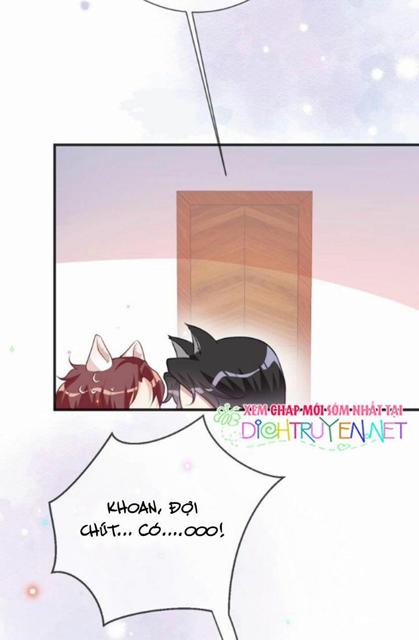 Ảnh Đế Làm Loạn Đòi Ly Hôn 5 trang 5