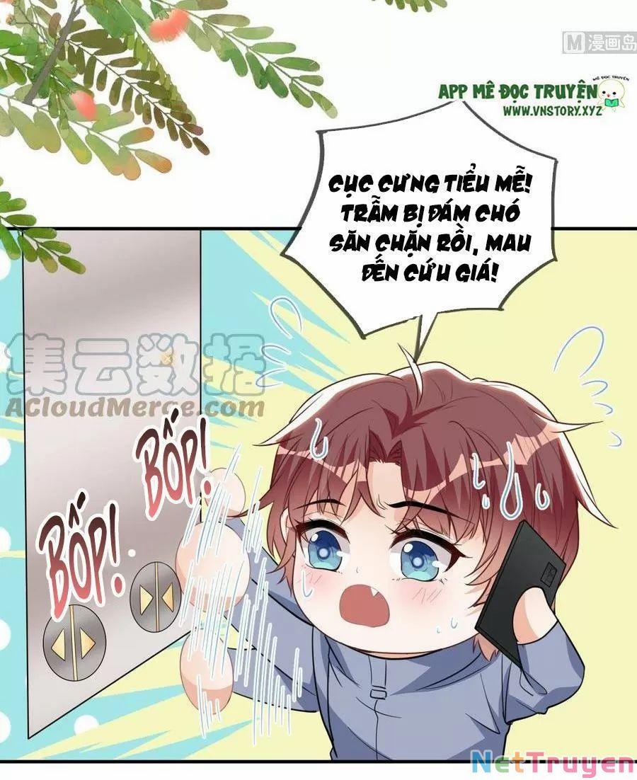 Ảnh Đế Làm Loạn Đòi Ly Hôn 81 trang 14