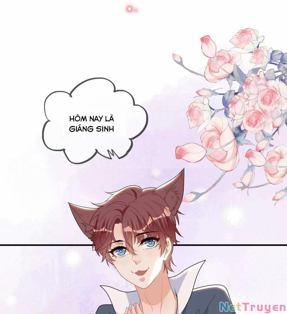 Ảnh Đế Làm Loạn Đòi Ly Hôn 82.5 trang 10