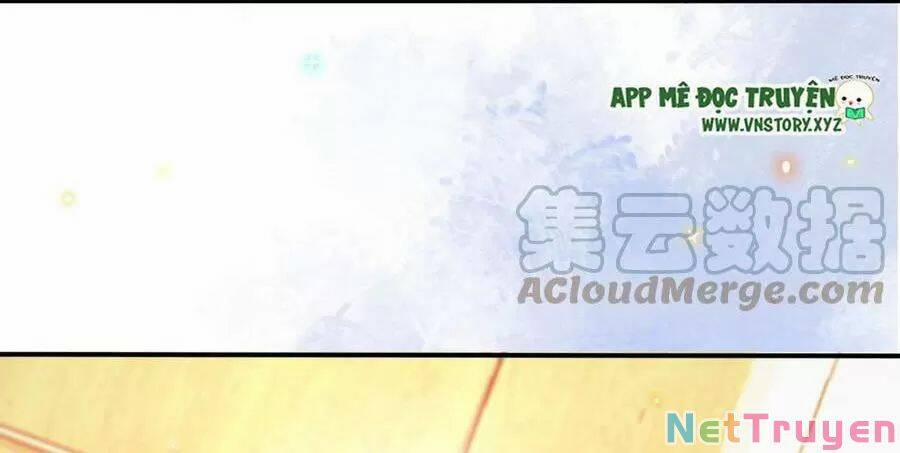 Ảnh Đế Làm Loạn Đòi Ly Hôn 82 trang 7