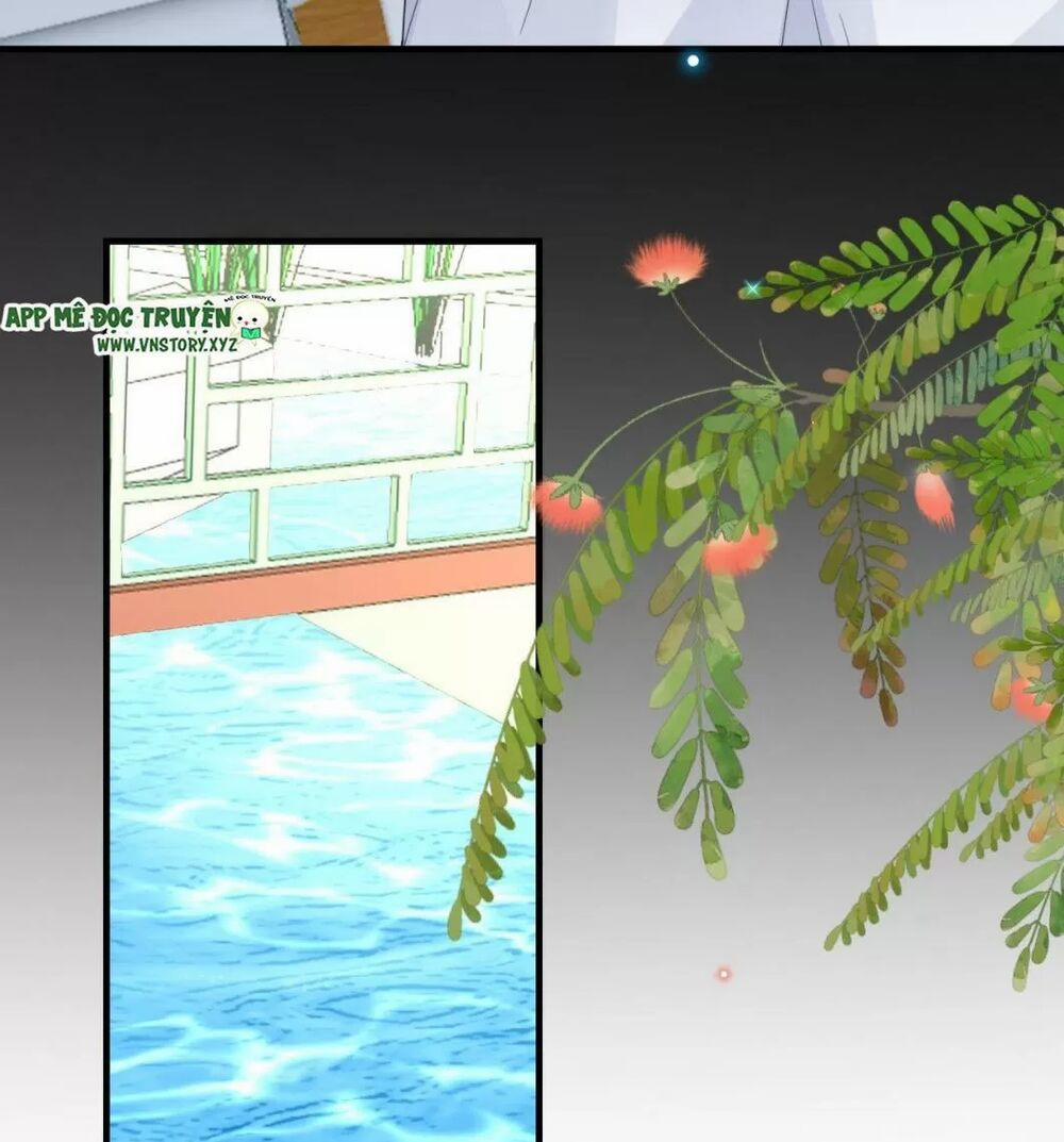 Ảnh Đế Làm Loạn Đòi Ly Hôn 84 trang 41