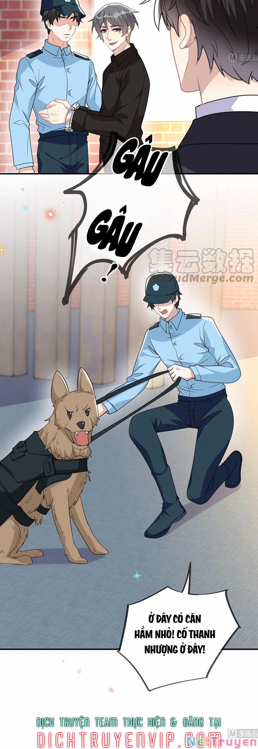 Ảnh Đế Làm Loạn Đòi Ly Hôn 93 trang 6