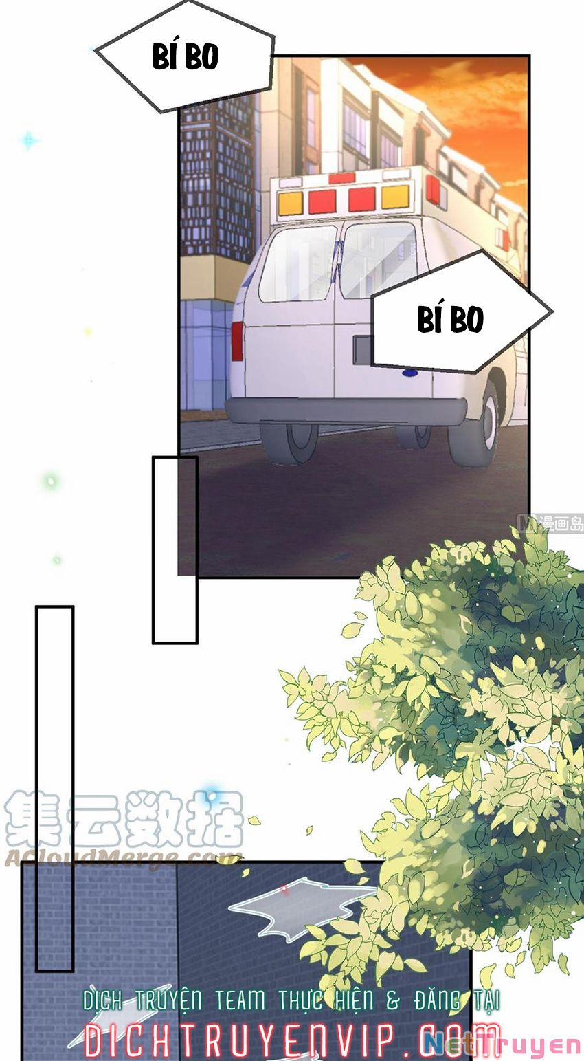 Ảnh Đế Làm Loạn Đòi Ly Hôn 93 trang 8